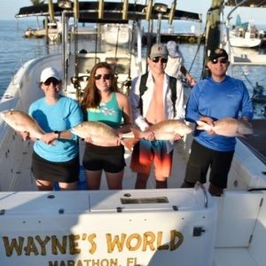 Meet your Posher, Debbie